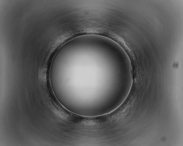 X0000098090299200804041226
