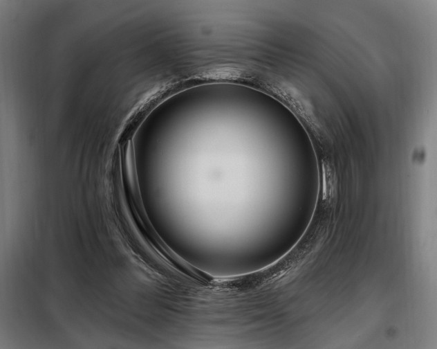 X0000098090300200804041226