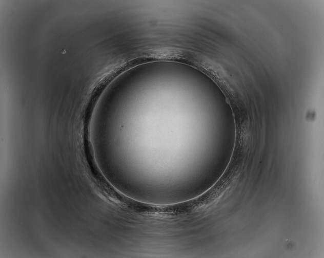 X0000098090303200804041226