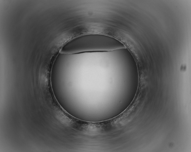 X0000098090305200804041226