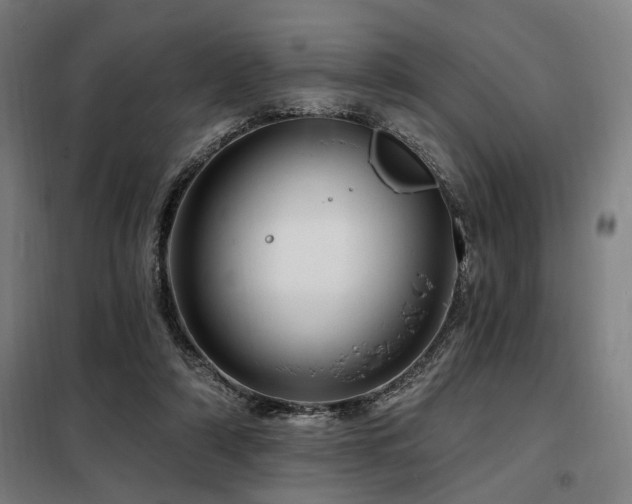 X0000098090306200804041226