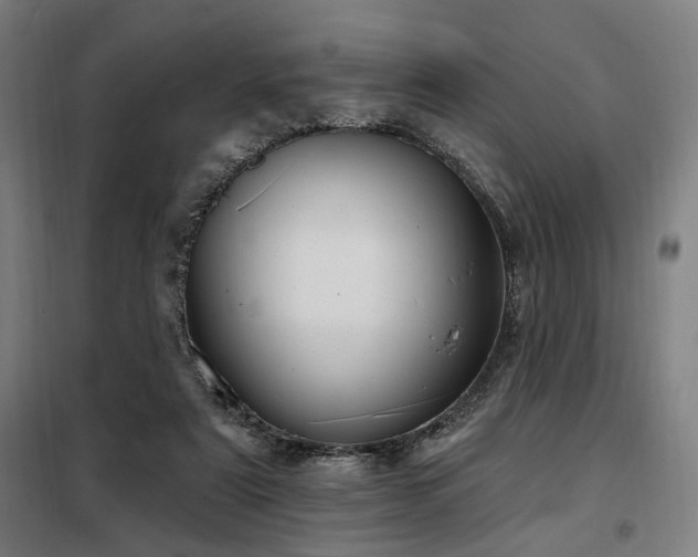 X0000098090307200804041226
