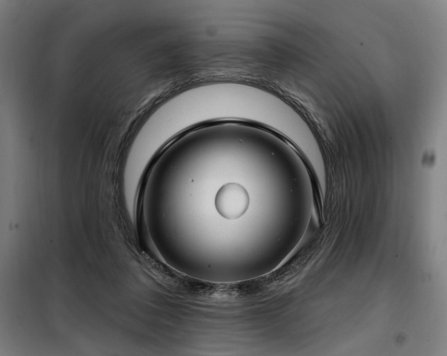 X0000098090308200804041226