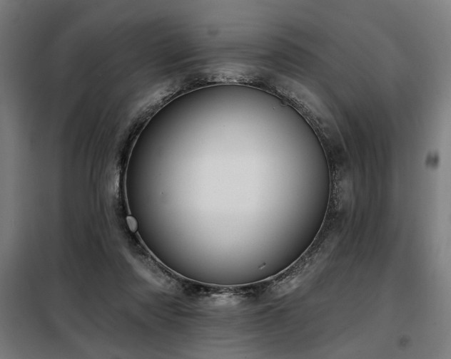 X0000098090310200804041226