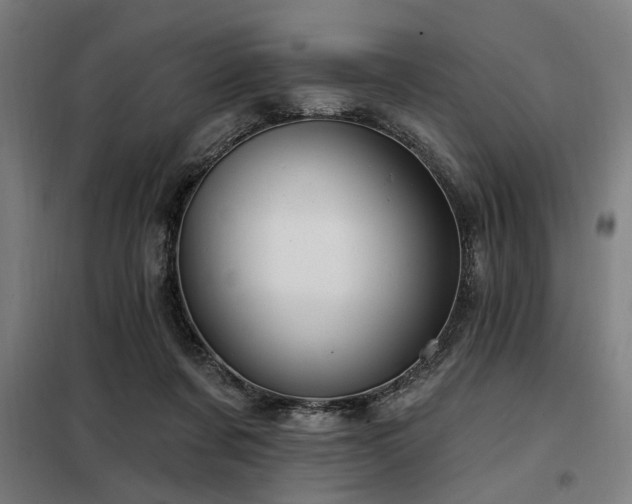 X0000098090311200804041226