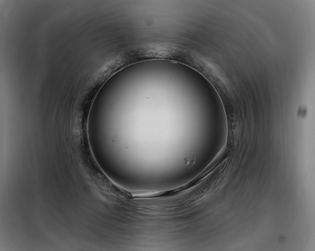 X0000098090312200804041226