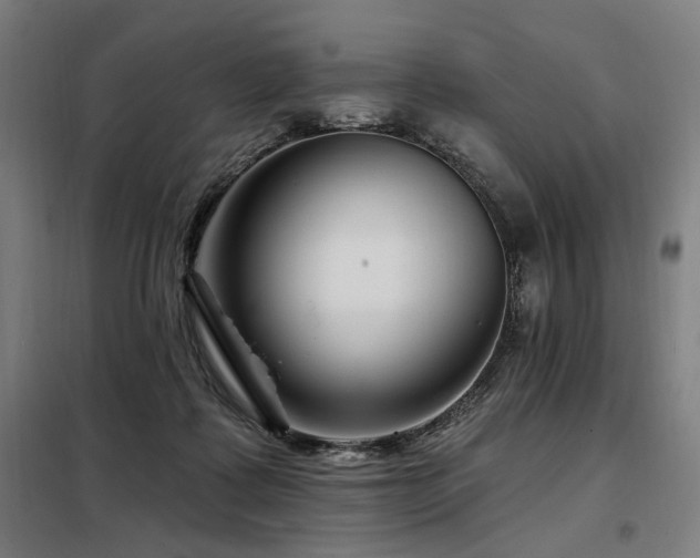 X0000098090315200804041226
