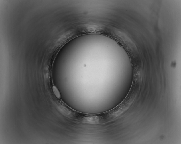 X0000098090317200804041226
