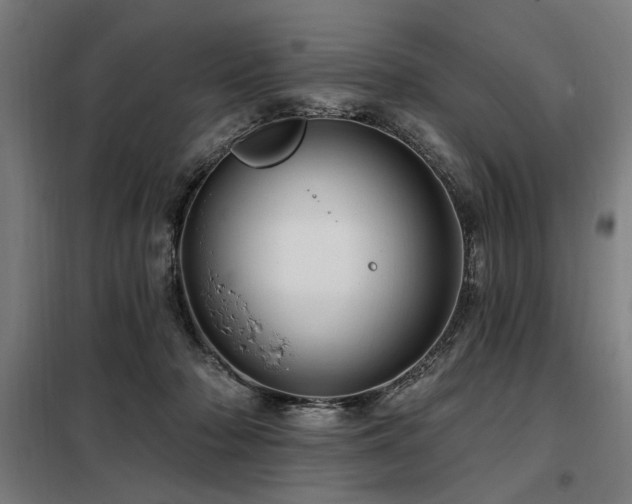 X0000098090318200804041226