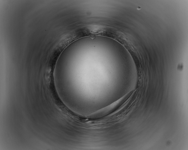 X0000098090319200804041226