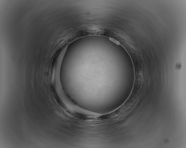 X0000098090320200804041226