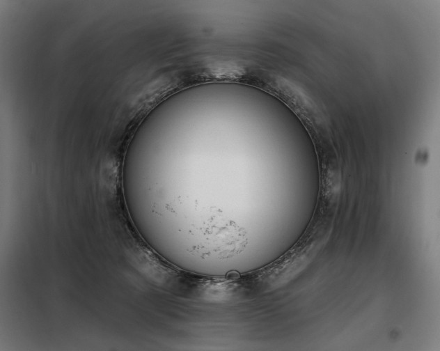 X0000098090321200804041226