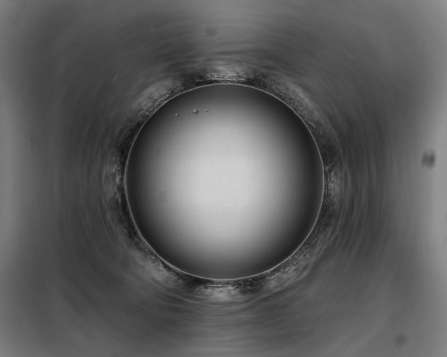 X0000098090322200804041226