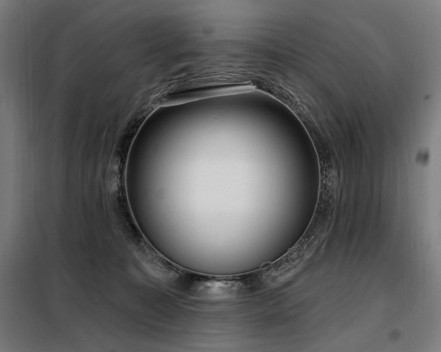 X0000098090323200804041226