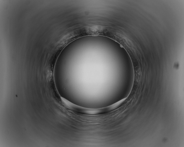 X0000098090324200804041226