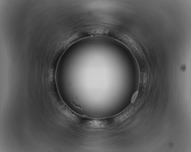 X0000098090326200804041226