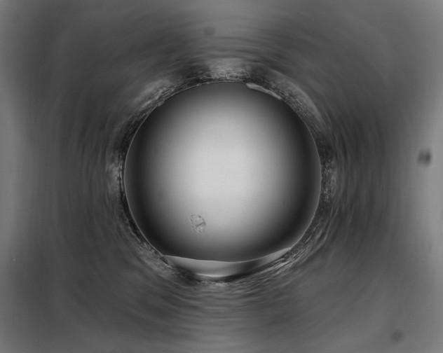 X0000098090329200804041225