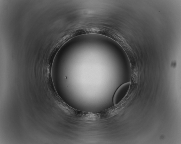 X0000098090330200804041225