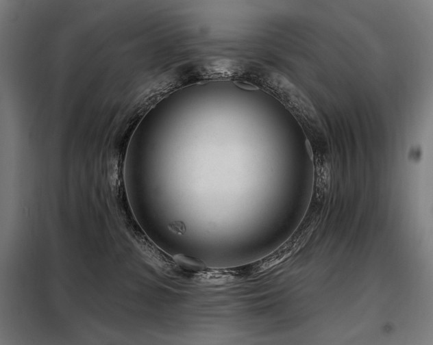 X0000098090331200804041225