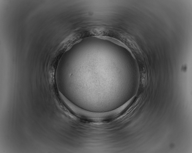 X0000098090332200804041225