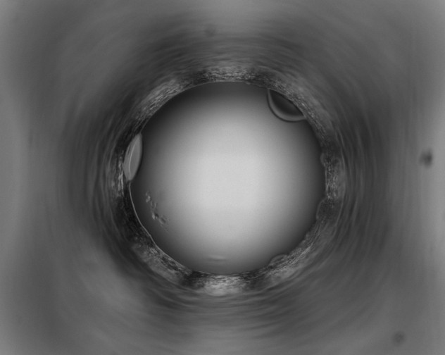 X0000098090334200804041225
