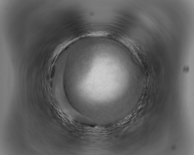 X0000098090337200804041225