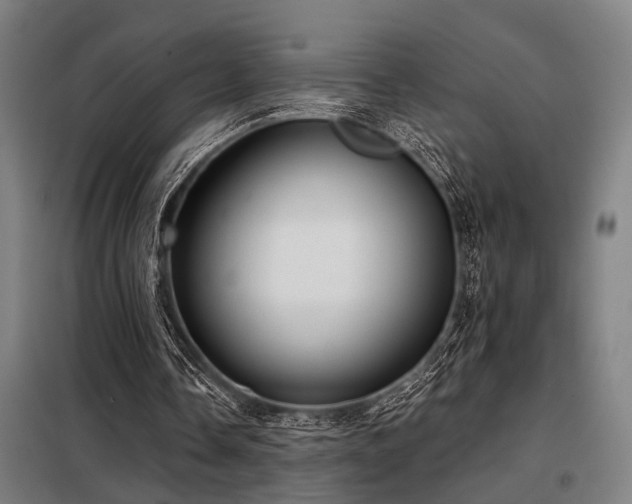 X0000098090338200804041225