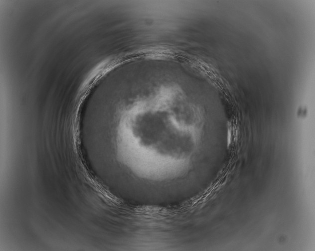 X0000098090339200804041225