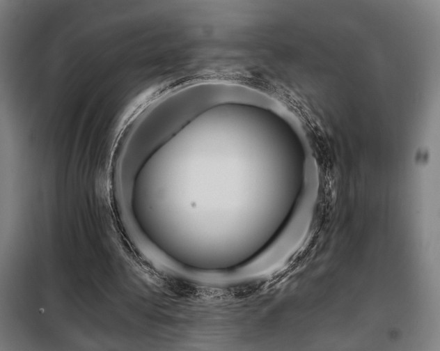 X0000098090340200804041225
