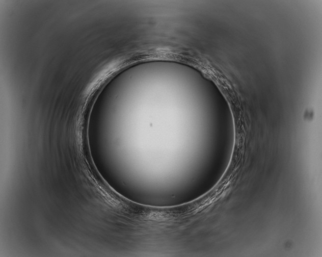 X0000098090341200804041225