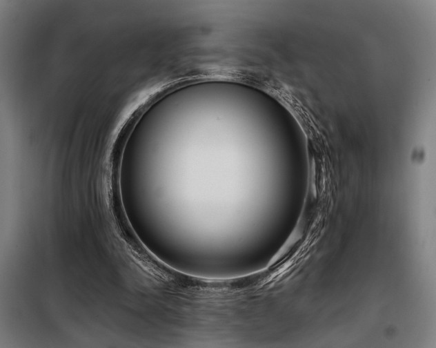X0000098090342200804041225