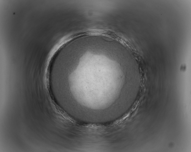 X0000098090343200804041225