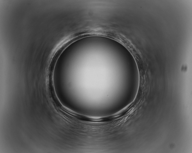 X0000098090344200804041225