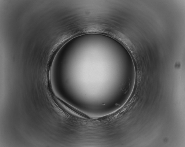 X0000098090345200804041225