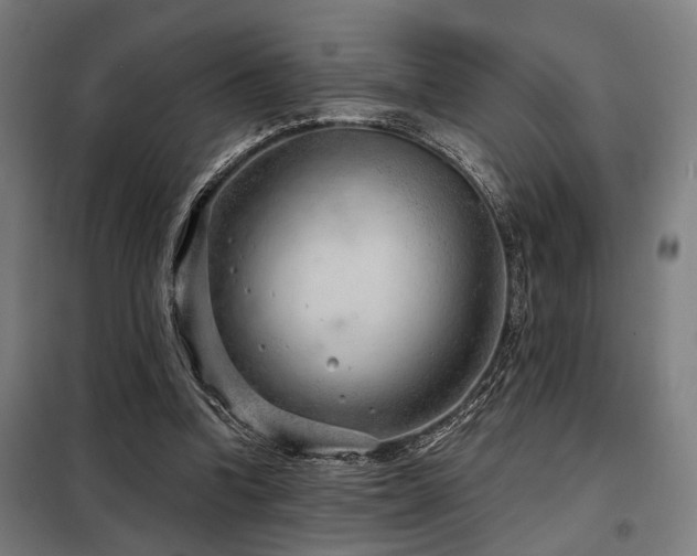 X0000098090346200804041225