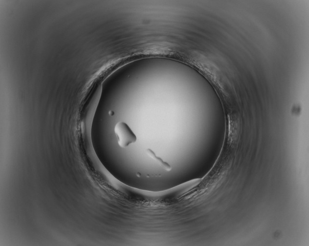X0000098090348200804041225