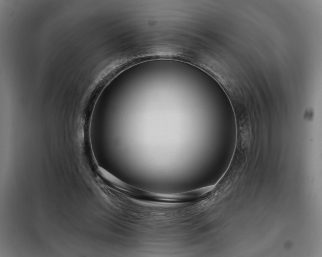 X0000098090350200804041225