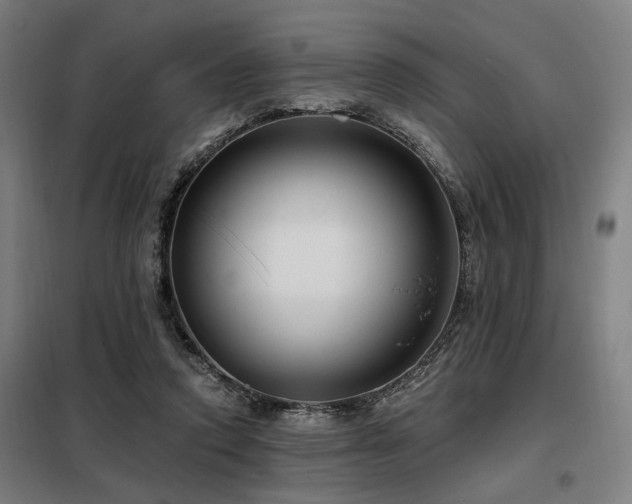 X0000098090354200804041225
