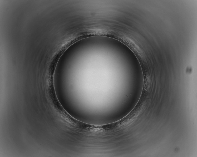 X0000098090355200804041225