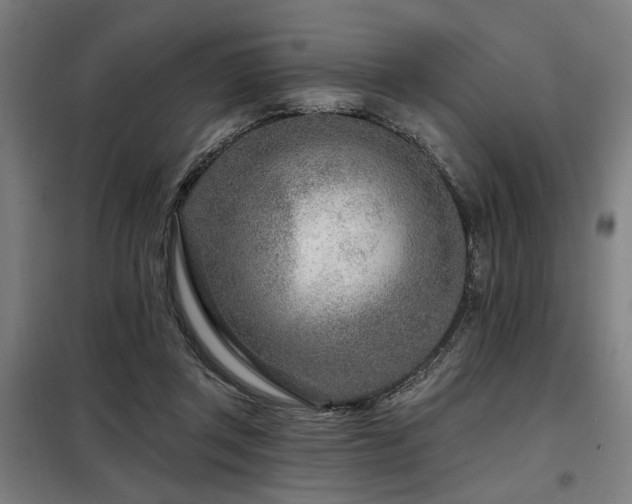 X0000098090357200804041225
