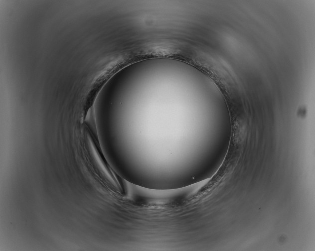 X0000098090358200804041225