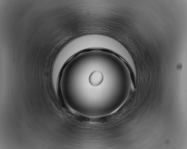 X0000098090360200804041225