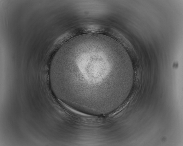 X0000098090361200804041225