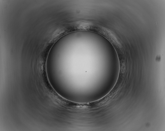 X0000098090363200804041225