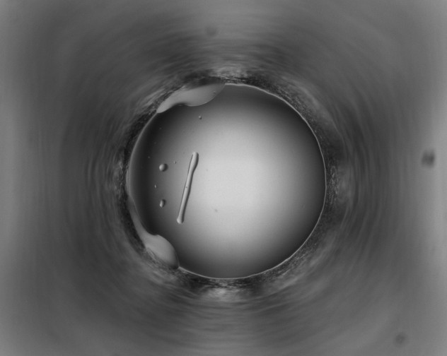 X0000098090364200804041225