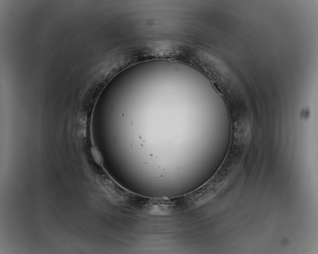 X0000098090368200804041225