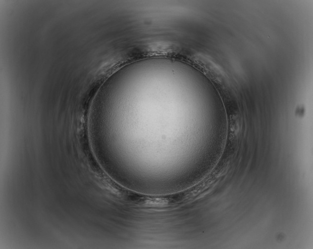 X0000098090369200804041225