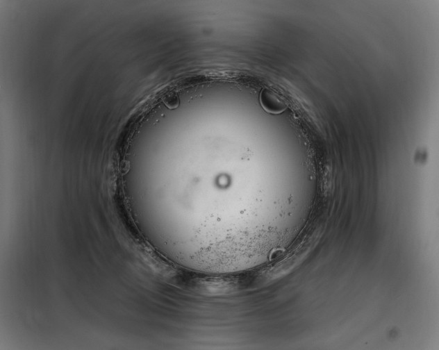 X0000098090370200804041225