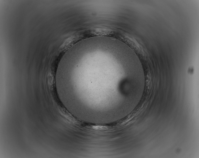 X0000098090371200804041225