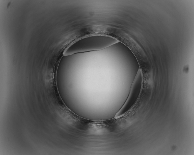 X0000098090372200804041225
